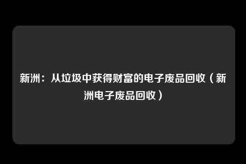 新洲:从垃圾中获得财富的电子废品回收(新洲电子废品回收)
