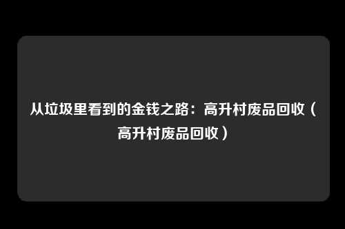 从垃圾里看到的金钱之路：高升村废品回收（高升村废品回收）