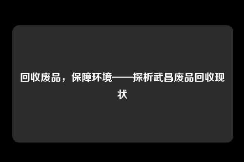 回收废品,保障环境——探析武昌废品回收现状