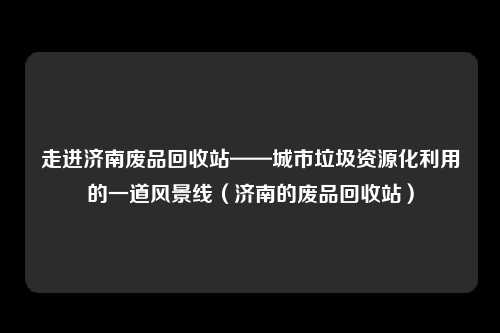 走进济南废品回收站——城市垃圾资源化利用的一道风景线（济南的废品回收站）