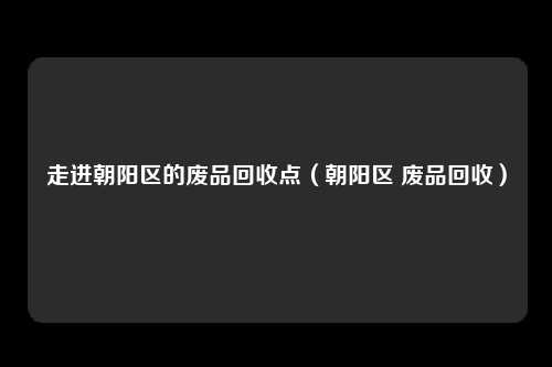 走进朝阳区的废品回收点（朝阳区 废品回收）