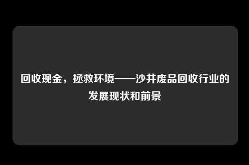 回收现金，拯救环境——沙井废品回收行业的发展现状和前景