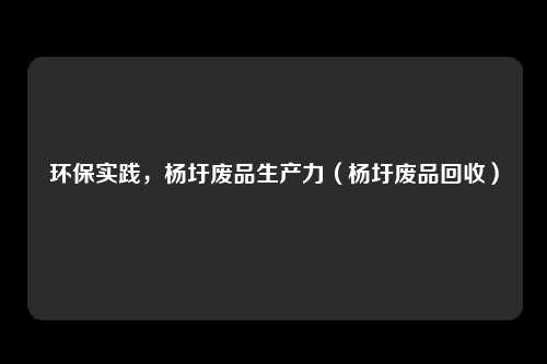 环保实践，杨圩废品生产力（杨圩废品回收）